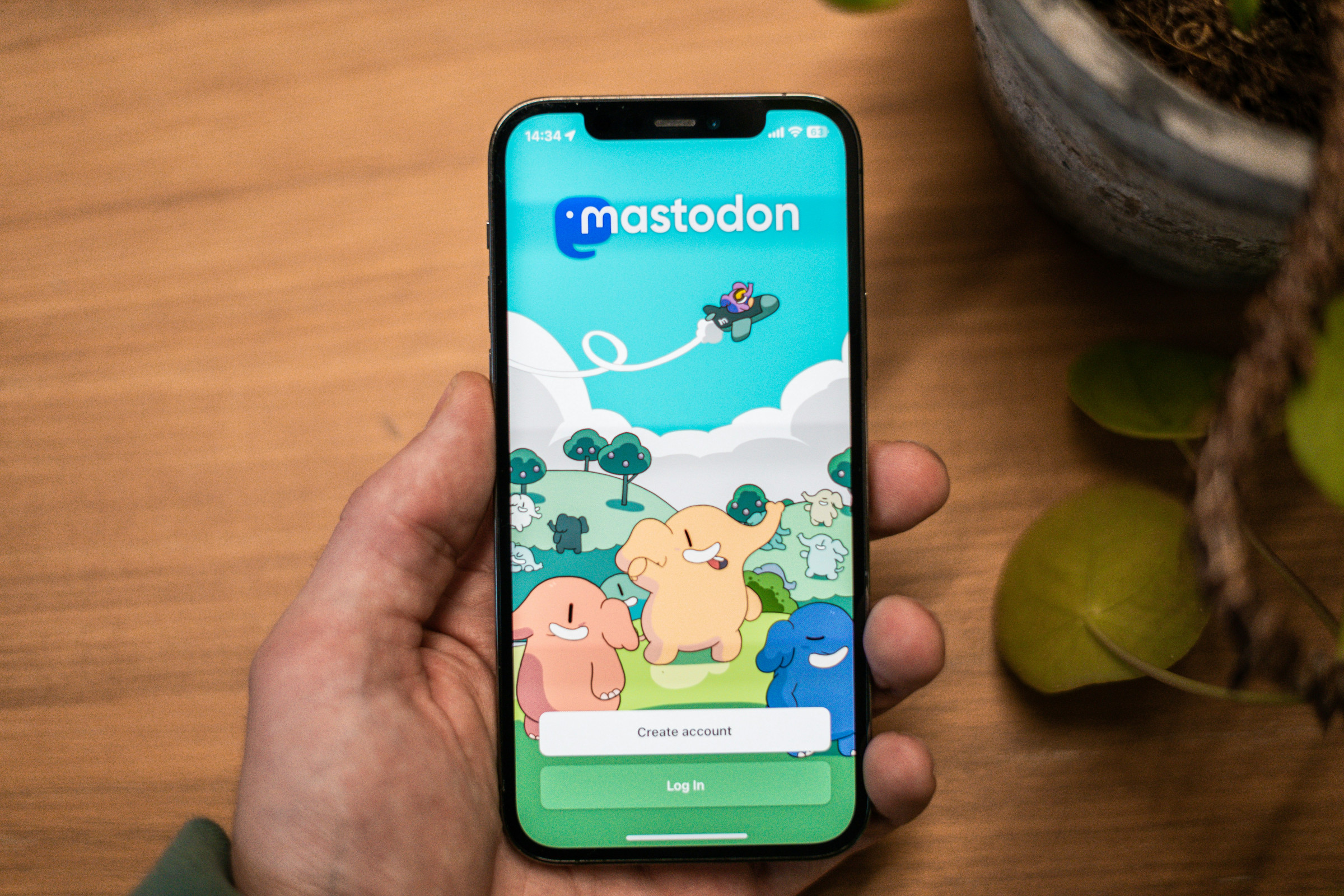 ein Smartphone mit dem Startbildschirm der Mastodon-App